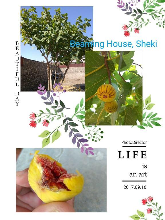 Beaming_House Hotel Şǝki Buitenkant foto